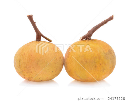 Santol fruit isolated on white background 24173228