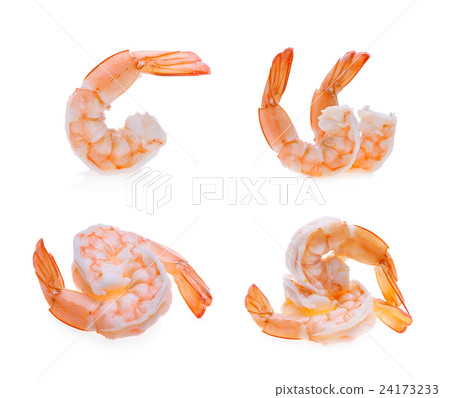 shrimps isolated on a white background shrimps isolated on a white background 24173233