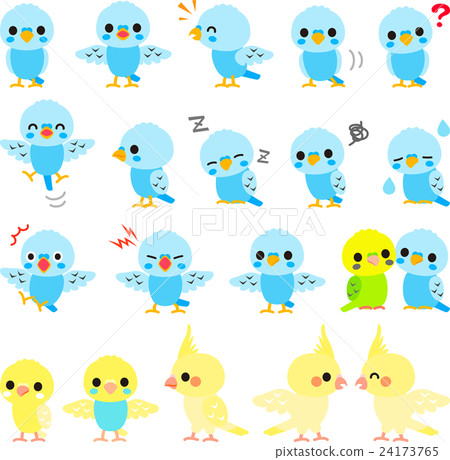 Illustration set of parakeet 24173765