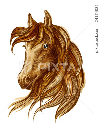 Brown stallion horse icon for equestrian design 24174025
