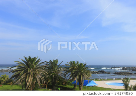 Shirahama Coast Seaside Garden 24174080