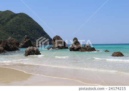 Sunflower Goto Island of Islands Fukue Island Takahama Beach Japan's 100 beaches 24174215