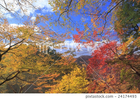 秋葉黑部峽谷 24174493