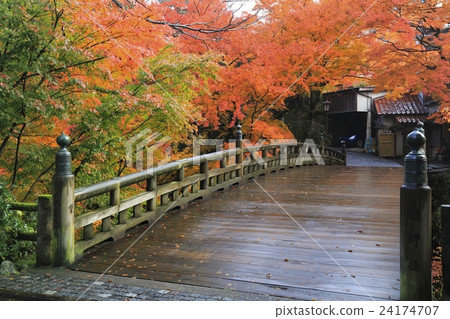 Yamanaka Onsen Korogi Bridge Autumn leaves Yamanaka Onsen Korogi Bridge Autumn leaves 24174707