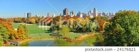 Central Park Autumn Central Park Autumn 24176821