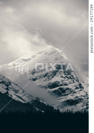 Banff National Park 24177194