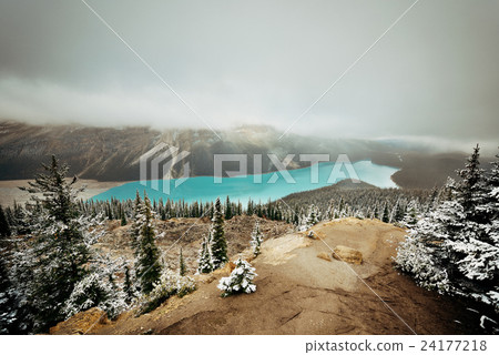 Peyto Lake Peyto Lake 24177218