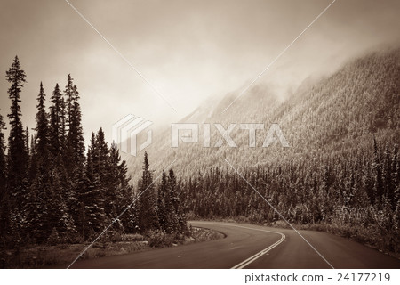 Highway Highway 24177219