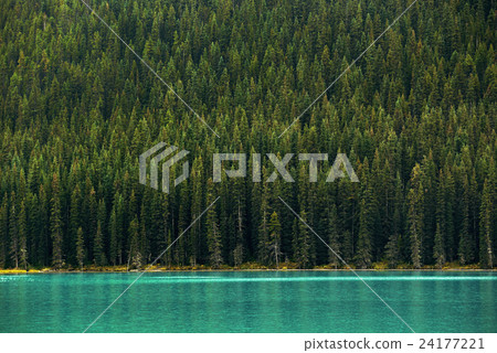 Banff National Park 24177221
