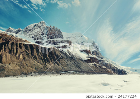 Columbia Icefield Columbia Icefield 24177224
