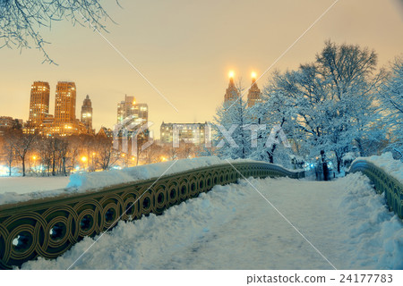 Central Park winter 24177783