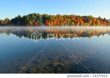 Lake Autumn Foliage fog 24177914