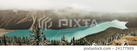 Peyto Lake Peyto Lake 24177989