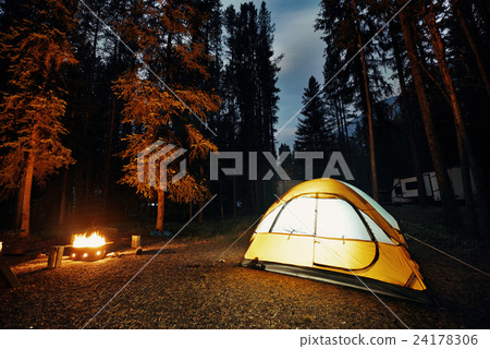 Camping in forest 24178306