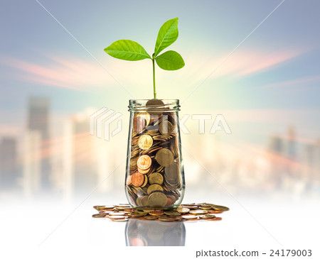 Gold coins and seed in clear bottle on photo blurred cityscape background,Business investment growth concept 24179003