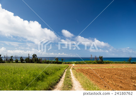 One road of southern country 24180762