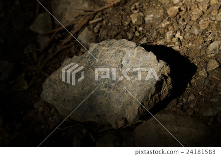 Stone 24181583