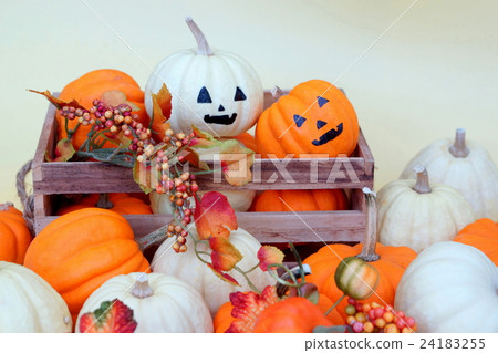 萬聖節 24183255