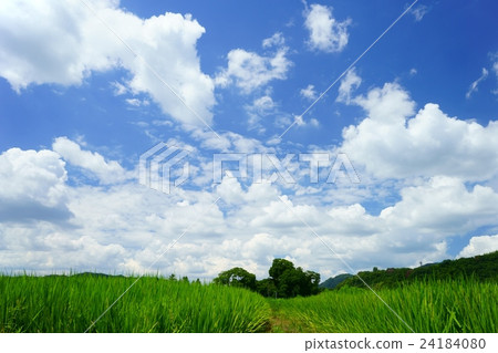 Summer sky 3 24184080