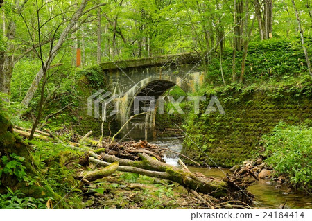 老Shihori線·五橋橋。 老Shihori線·五橋橋。 24184414