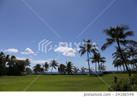 Hawaii Oahu West Coast 24186549