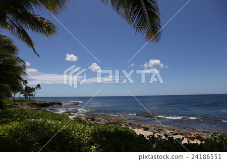 Hawaii Oahu West Coast 24186551