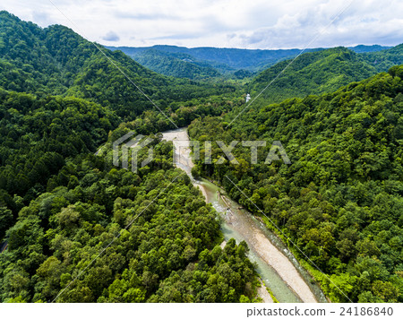 支笏湖周圍的森林(航拍照片) 支笏湖周圍的森林(航拍照片) 24186840