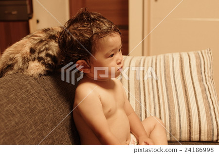 Infants and cats in the bath (Munchkin) Infants and cats in the bath (Munchkin) 24186998