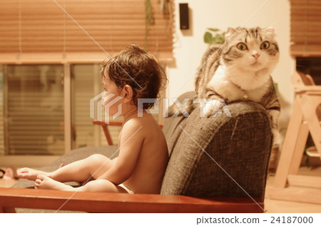 Infants and cats in the bath (Munchkin) Infants and cats in the bath (Munchkin) 24187000