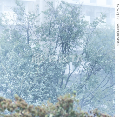 Typhoon image. 24187075