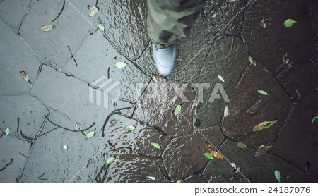 Typhoon image. 24187076