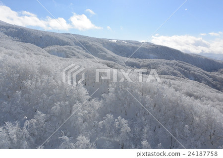 Cloud ice of Zao Onsen Ski Resort 24187758