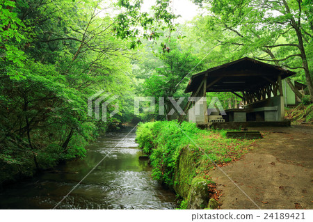 Oita prefecture green summer mountainous valley where you can shine ⑧ (___ ___ 0) 24189421