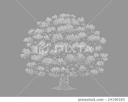 Big tree Big tree 24190165