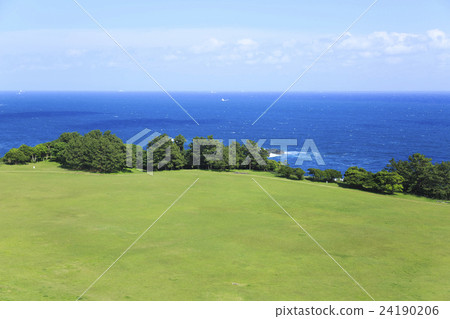 和歌山縣·Shioo海角觀看大樓的Shiba 24190206