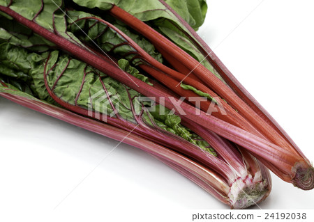 Swiss Chard Swiss Chard 24192038
