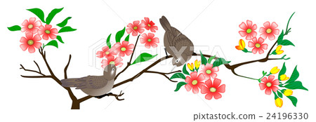 雀鳥迎春 24196330