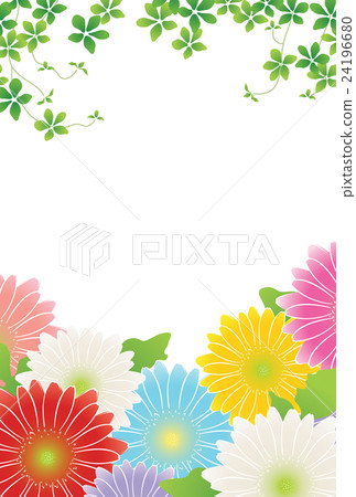 雛菊 雛菊 24196680