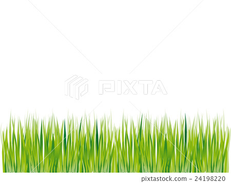 Grass silhouette green, summer background Grass silhouette green, summer background 24198220