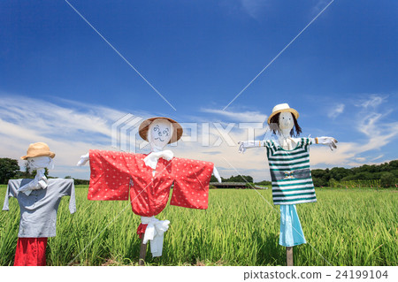 Numanuma稻田稻草人 Numanuma稻田稻草人 24199104