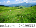 Car mountain 24199332