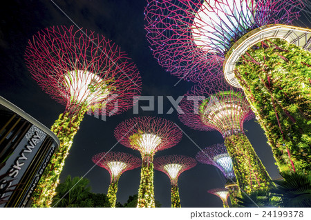 新加坡植物園花園灣 新加坡植物園花園灣 24199378