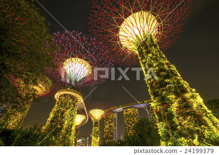 Singapore Botanical Gardens Gardens by the Bay Singapore Botanical Gardens Gardens by the Bay 24199379