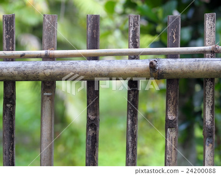 old used weathered bamboo wood fence 24200088