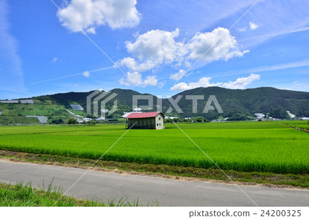 Country landscape (Nanyo City, Yamagata Prefecture) 24200325
