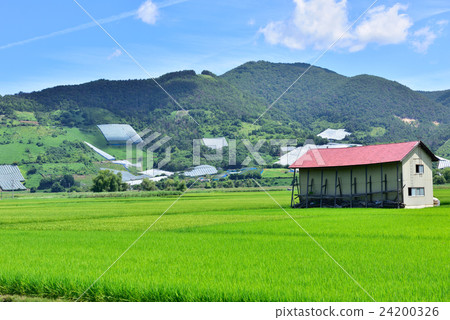 Country landscape (Nanyo City, Yamagata Prefecture) 24200326