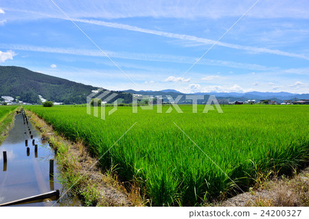 Country landscape (Nanyo City, Yamagata Prefecture) 24200327