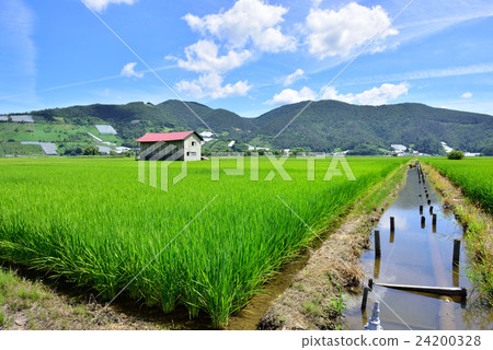 Country landscape (Nanyo City, Yamagata Prefecture) 24200328
