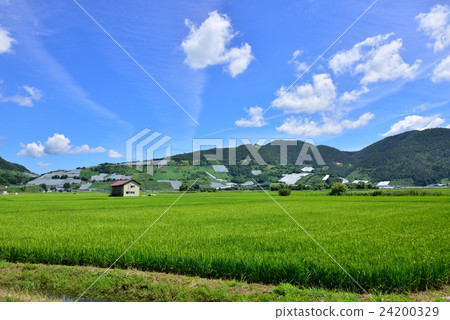 Country landscape (Nanyo City, Yamagata Prefecture) 24200329