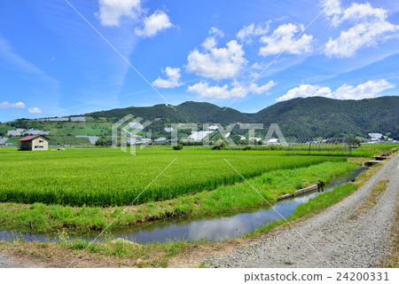Country landscape (Nanyo City, Yamagata Prefecture) 24200331